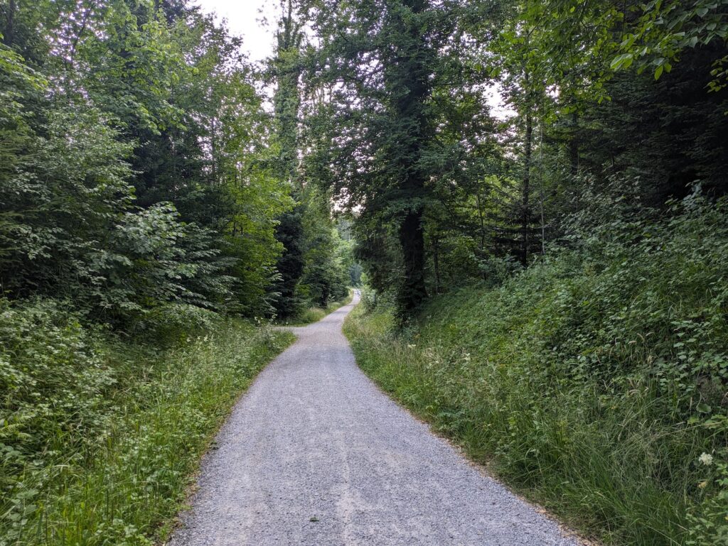 Waldweg-Abschnitt entlang der schonendsten Pflege (Massnahme A).