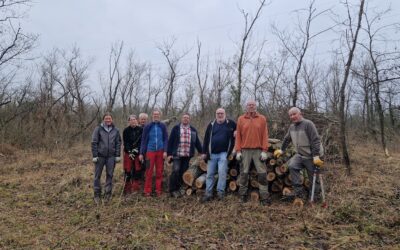 Entbuschungseinsatz in Kembs
